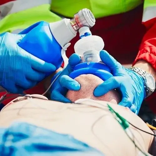 Adobe Stock 116878446