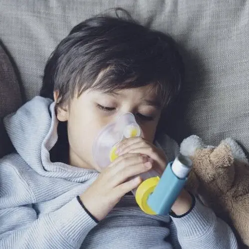 Reduced Image Adobe Stock 298721605