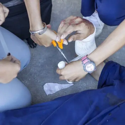 Reduced Image Adobe Stock 96239647